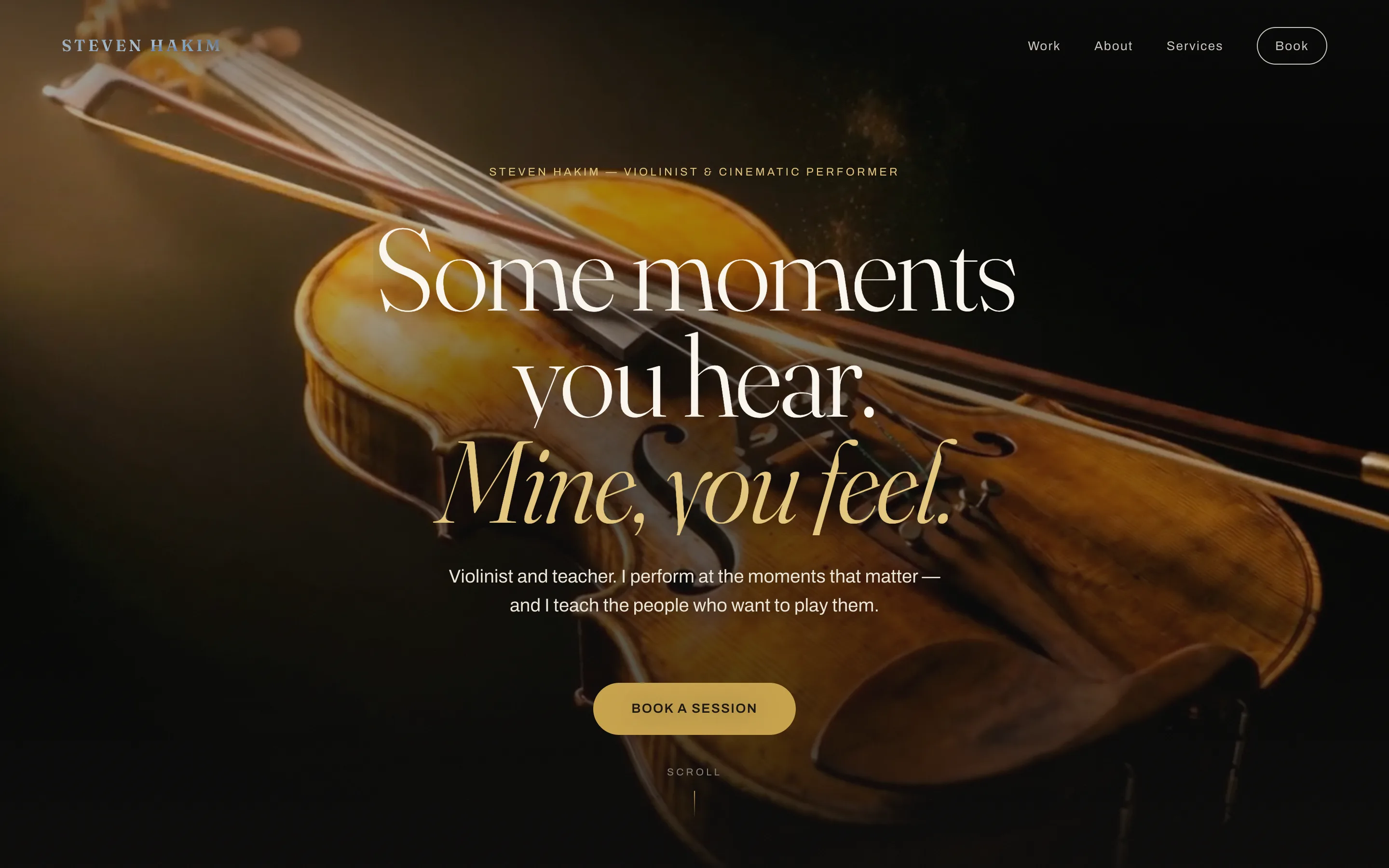Steven Hakim portfolio homepage